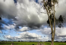 leyusport-梅西王者归来：绝地反击改写足坛剧本，官方名单暗藏王朝密码