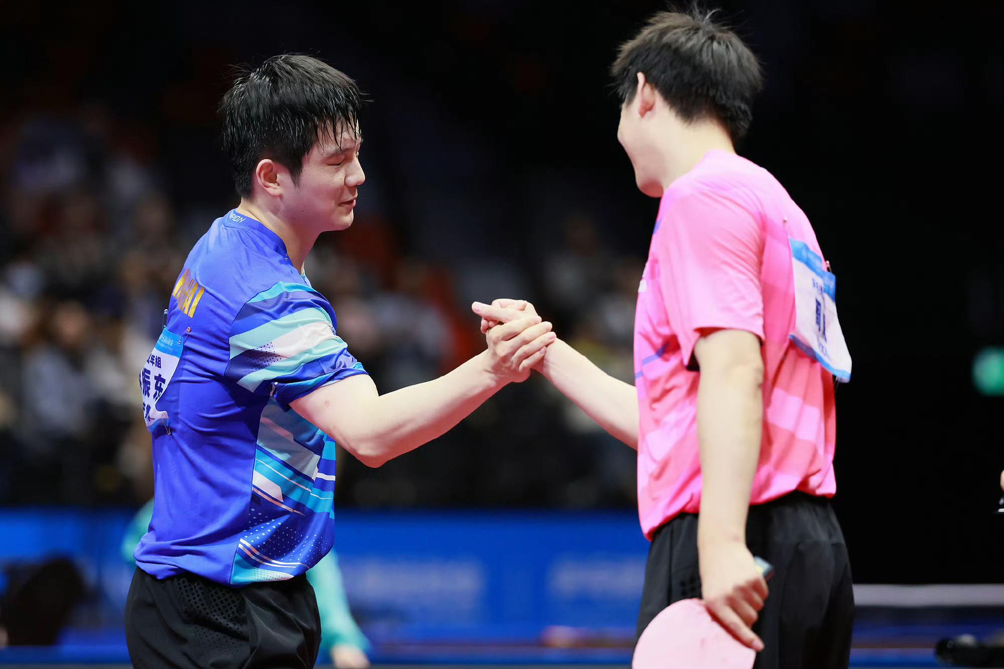 波兰队鏖战奥地利队，樊振东惊艳四座的简单介绍